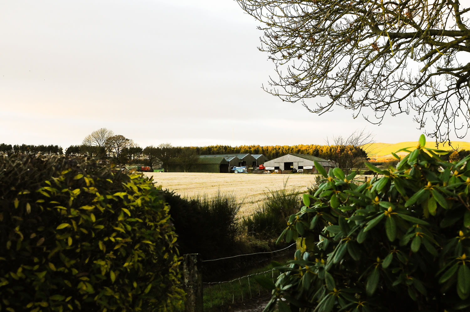 Self catering cottage Forfar