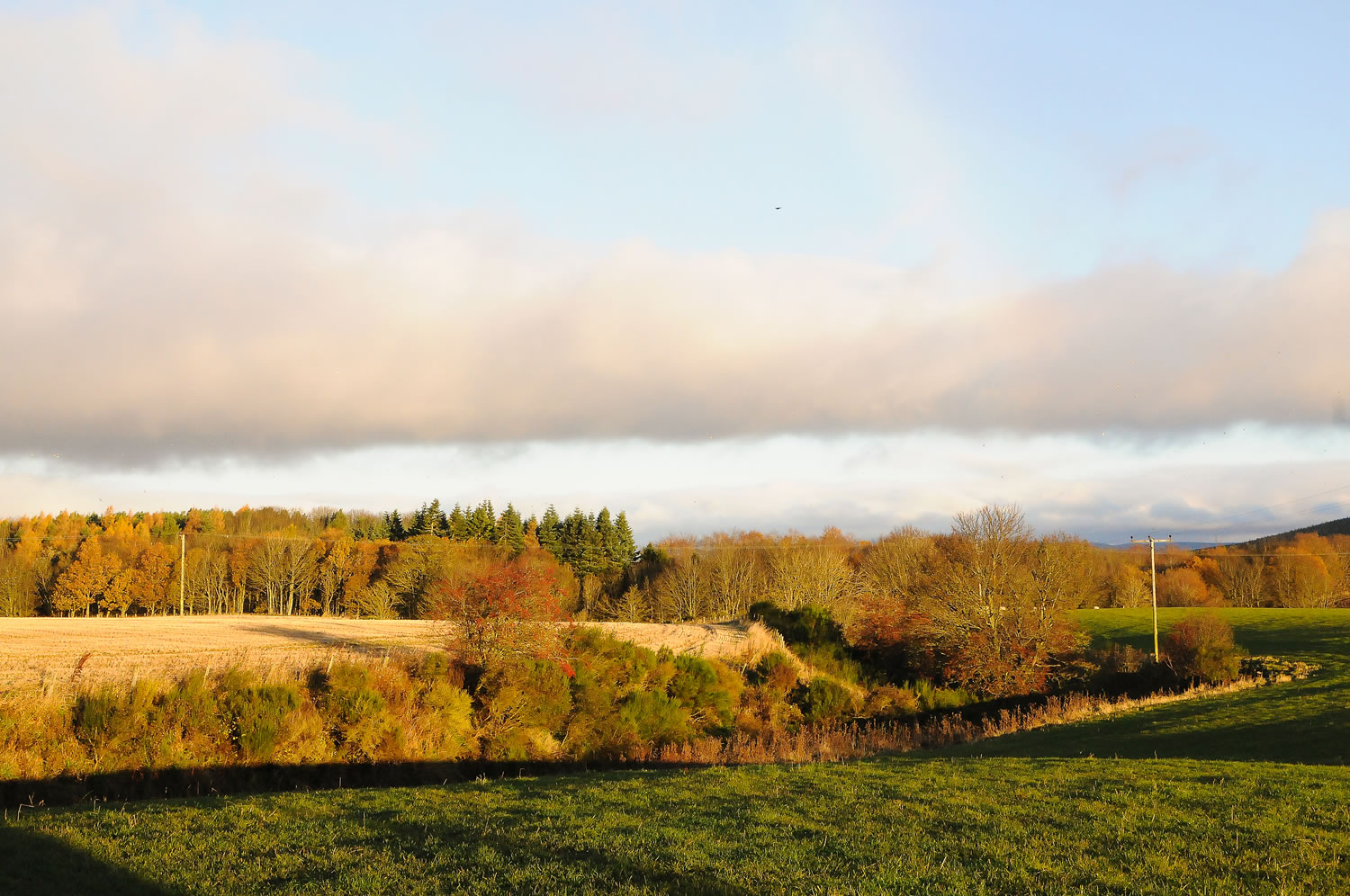 Self catering cottage Forfar