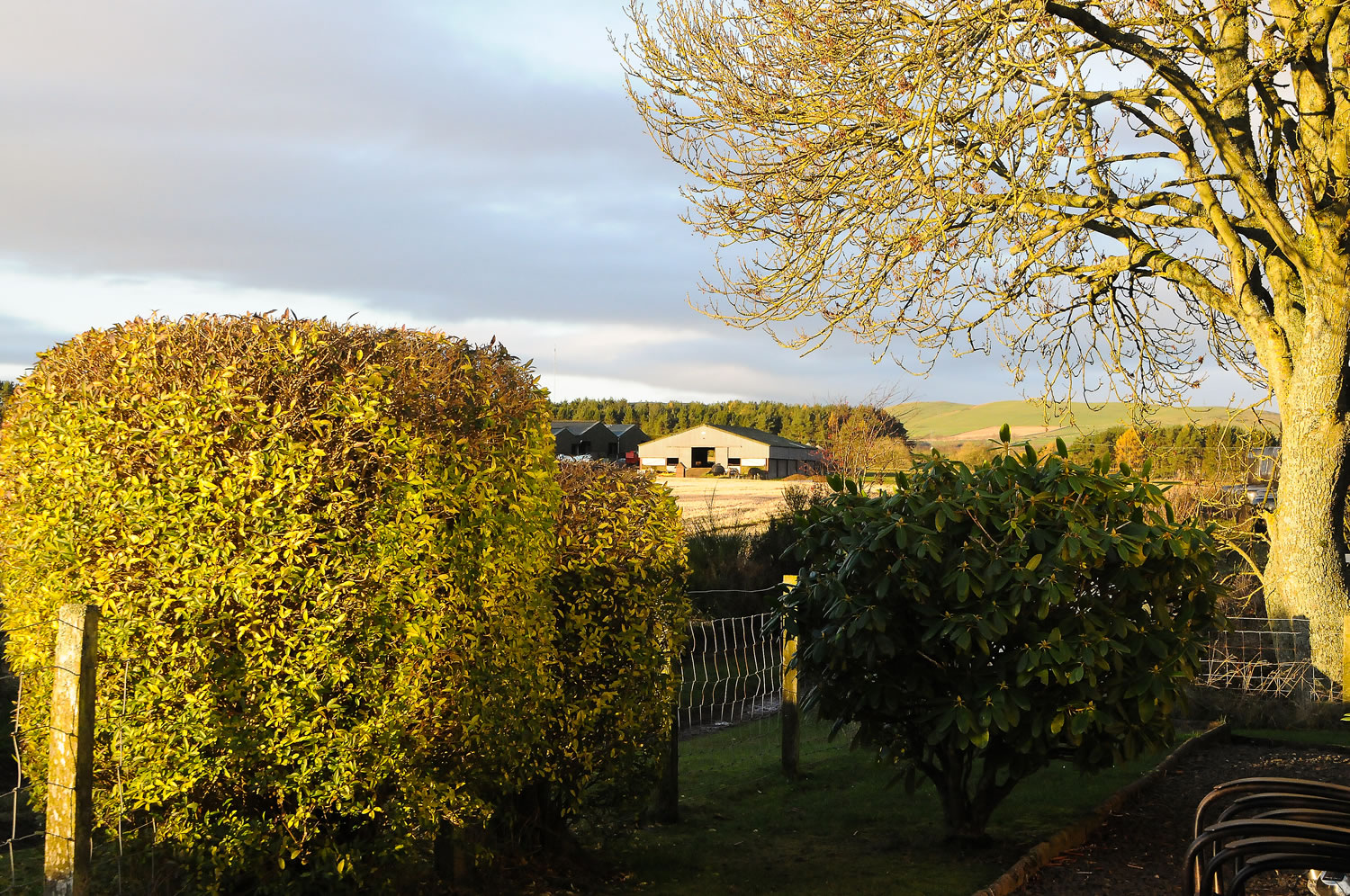Self catering cottage Forfar