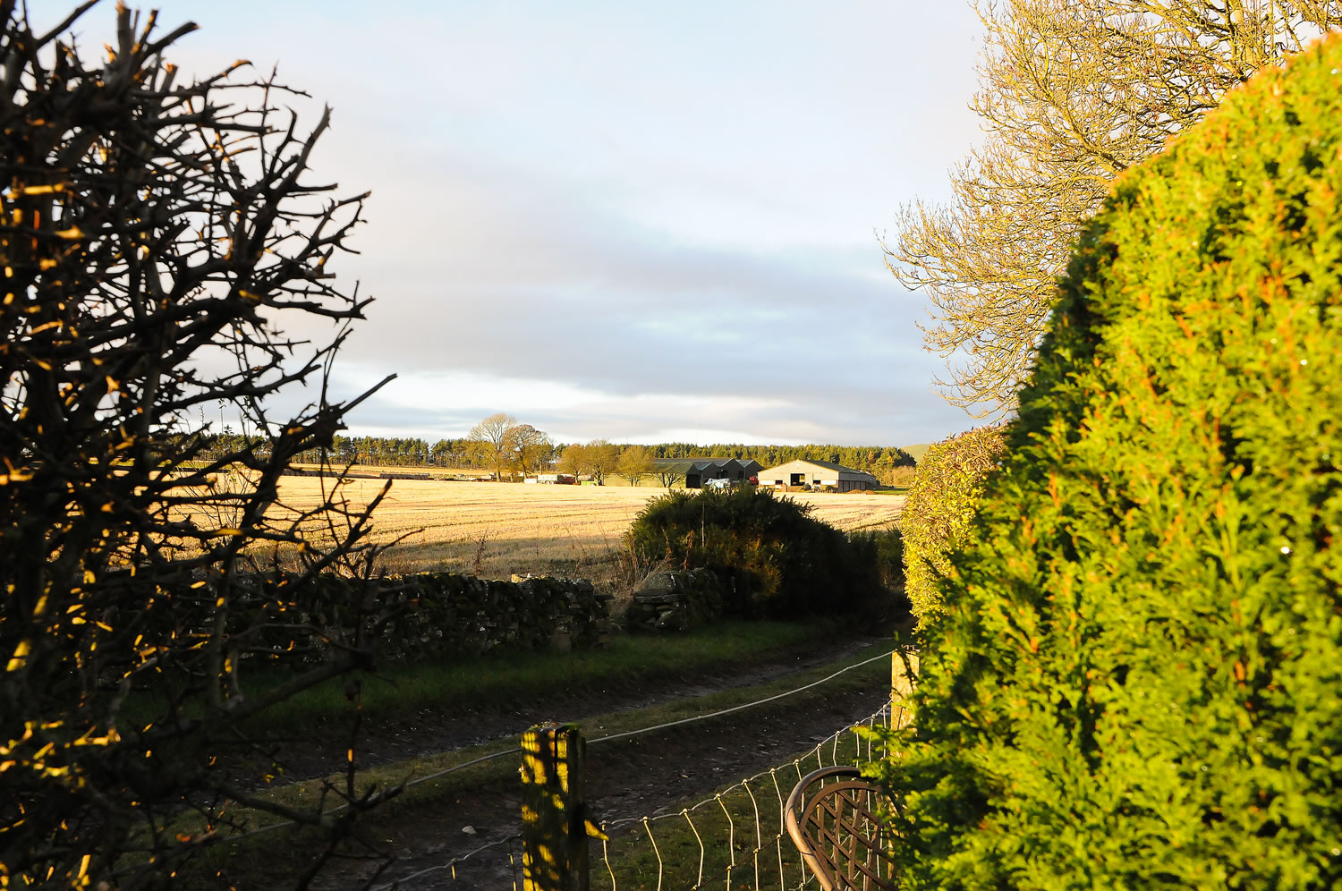 Self catering cottage Forfar