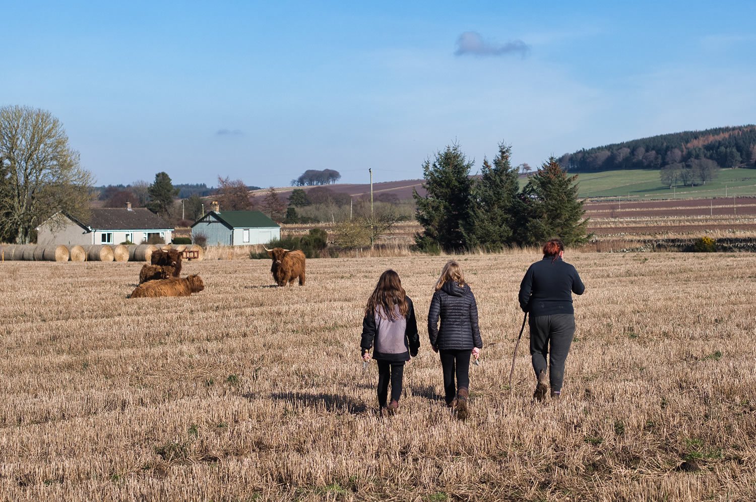 Self Catering cottage Forfar