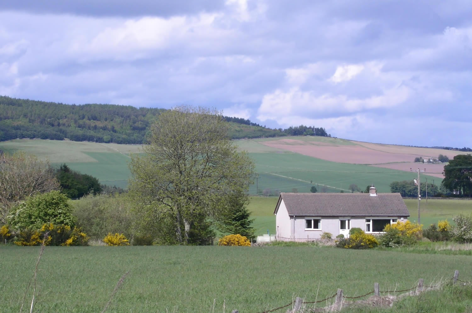 Self catering cottage
